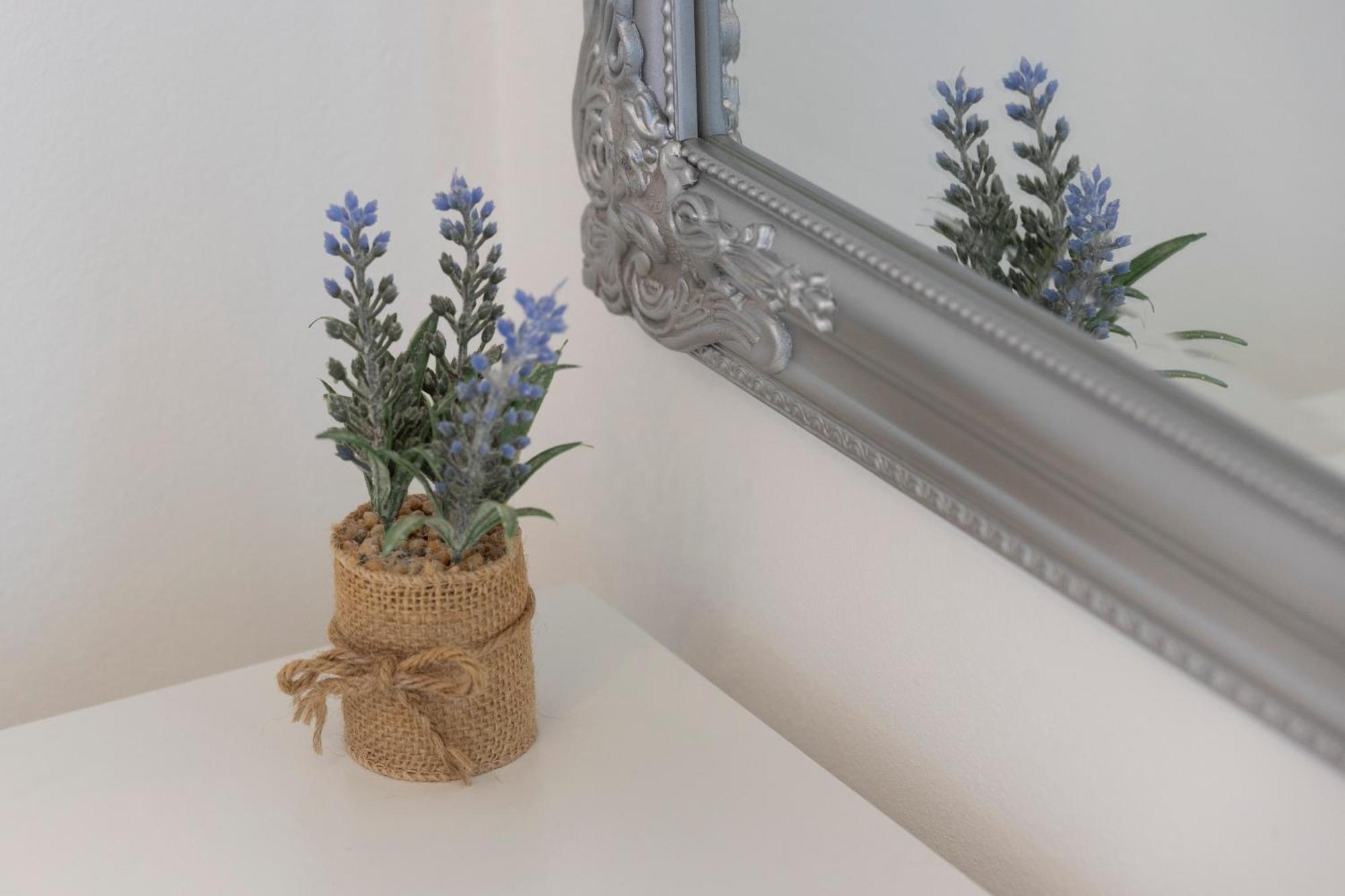 Villa Violic Zaton  Ngoại thất bức ảnh