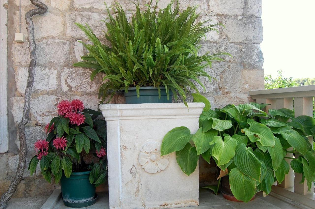Villa Violic Zaton  Ngoại thất bức ảnh