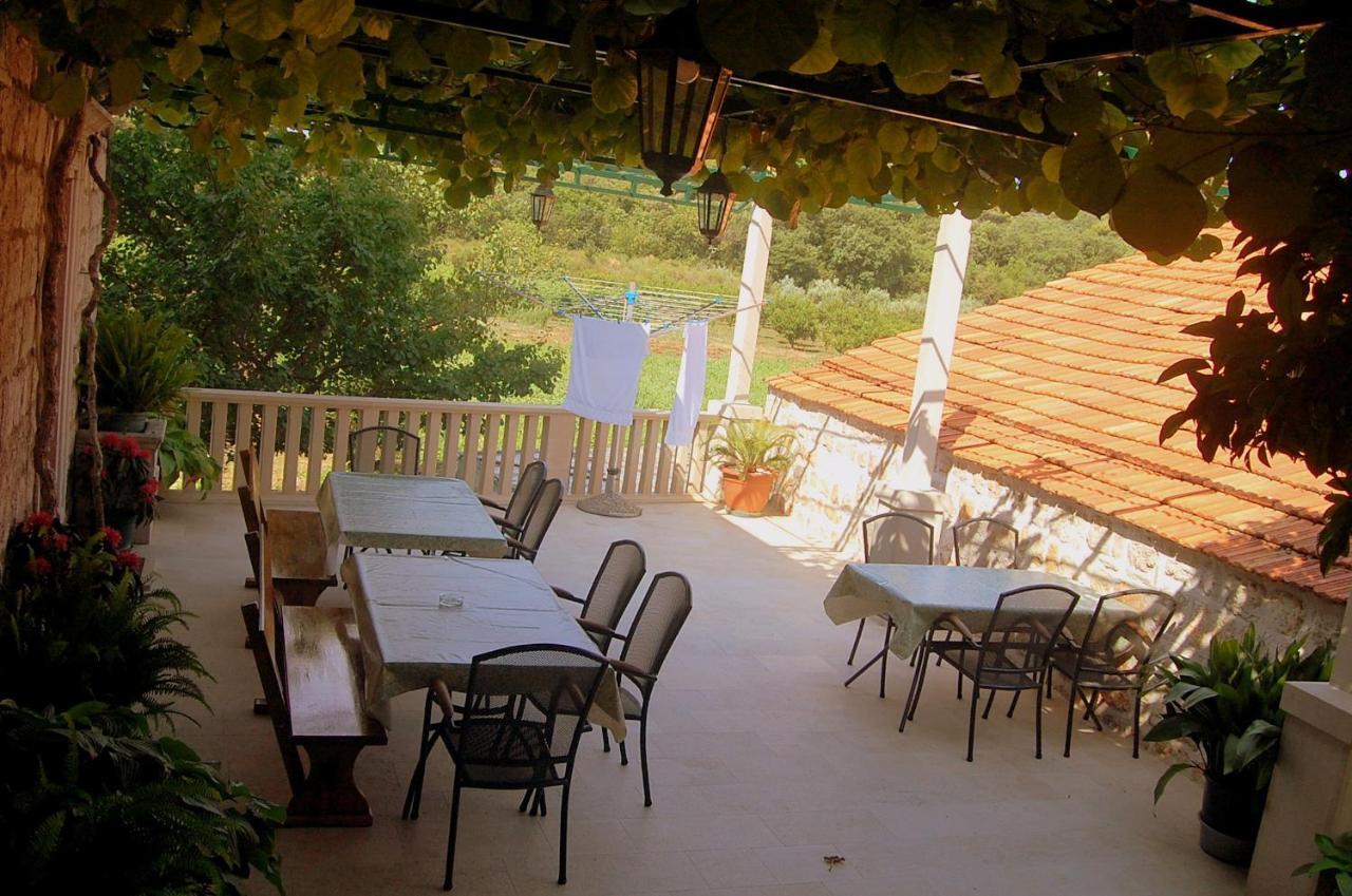 Villa Violic Zaton  Ngoại thất bức ảnh
